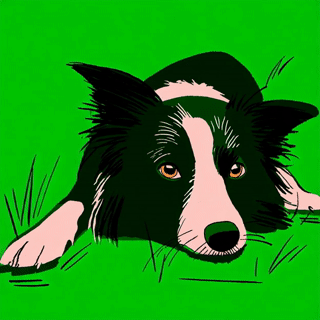 Hand-drawn illustration of a train passing through pine trees